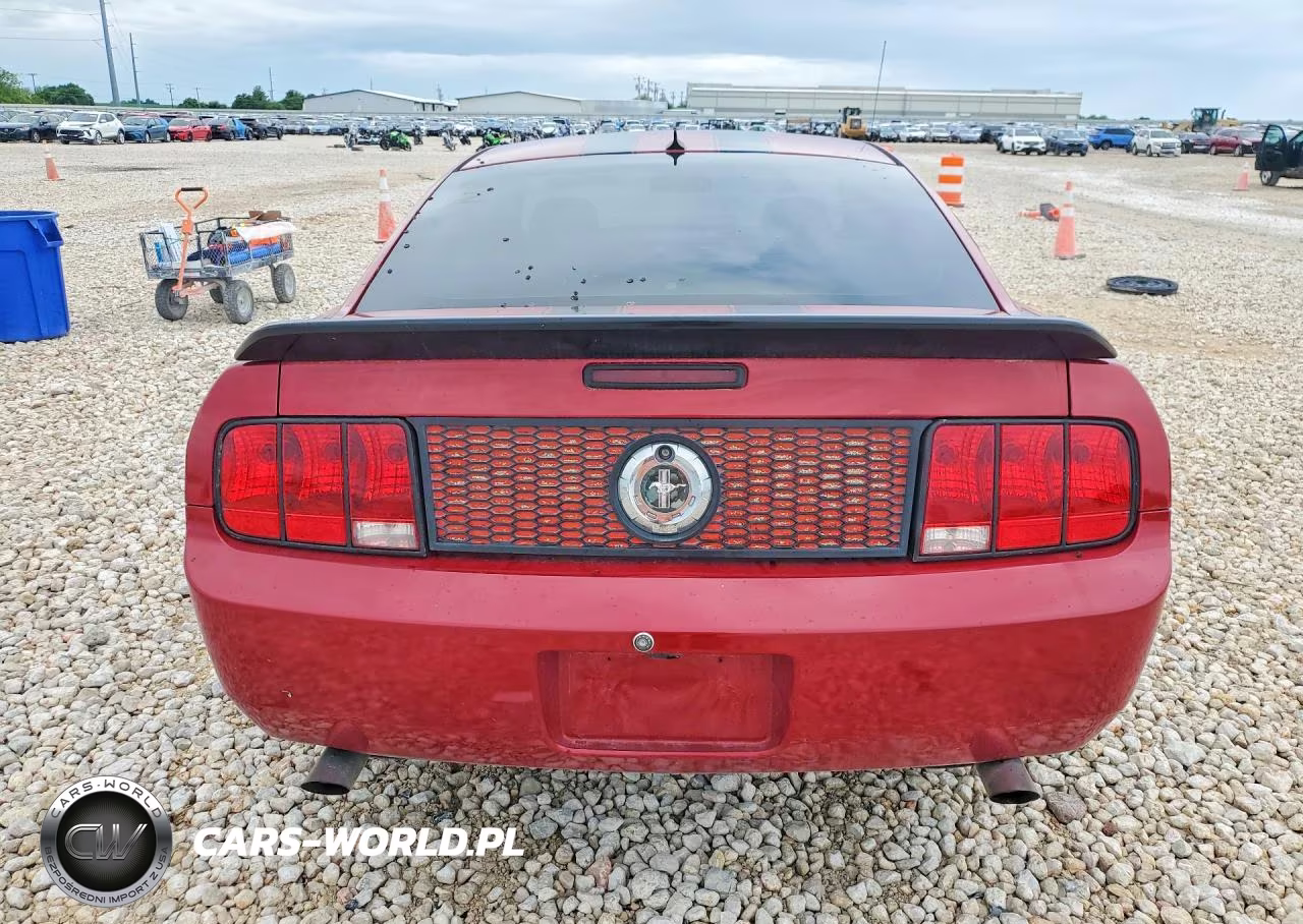 2009 Ford Mustang VIN:1ZVHT80N195109939 - 6