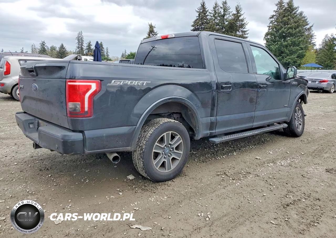 2015 Ford F150 Supercrew VIN:1FTEW1CP8FKD59712 - 3