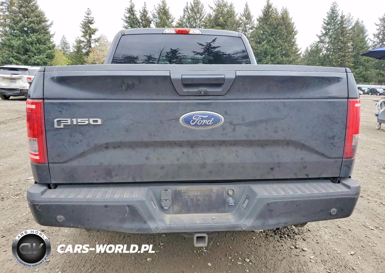 2015 Ford F150 Supercrew VIN:1FTEW1CP8FKD59712 - 6