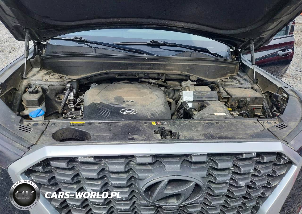 2020 Hyundai Palisade Sel VIN:KM8R34HE6LU111828 - 11