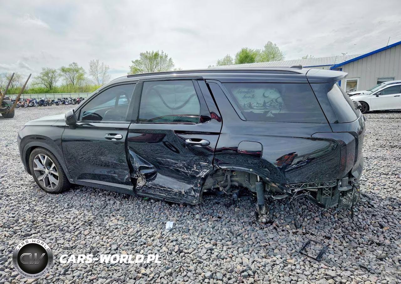 2020 Hyundai Palisade Sel VIN:KM8R34HE6LU111828 - 2