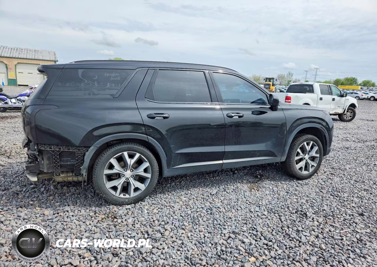 2020 Hyundai Palisade Sel VIN:KM8R34HE6LU111828 - 3