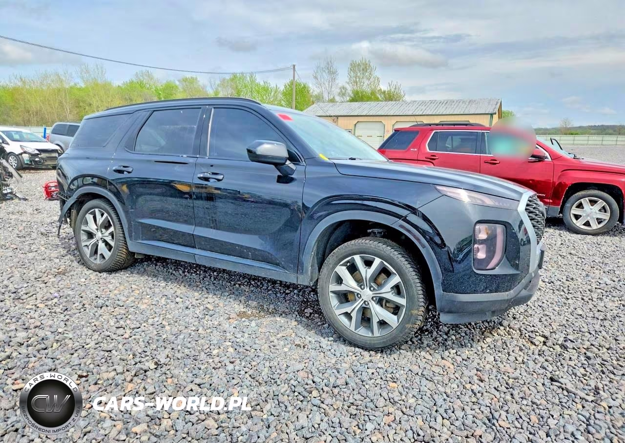 2020 Hyundai Palisade Sel VIN:KM8R34HE6LU111828 - 4