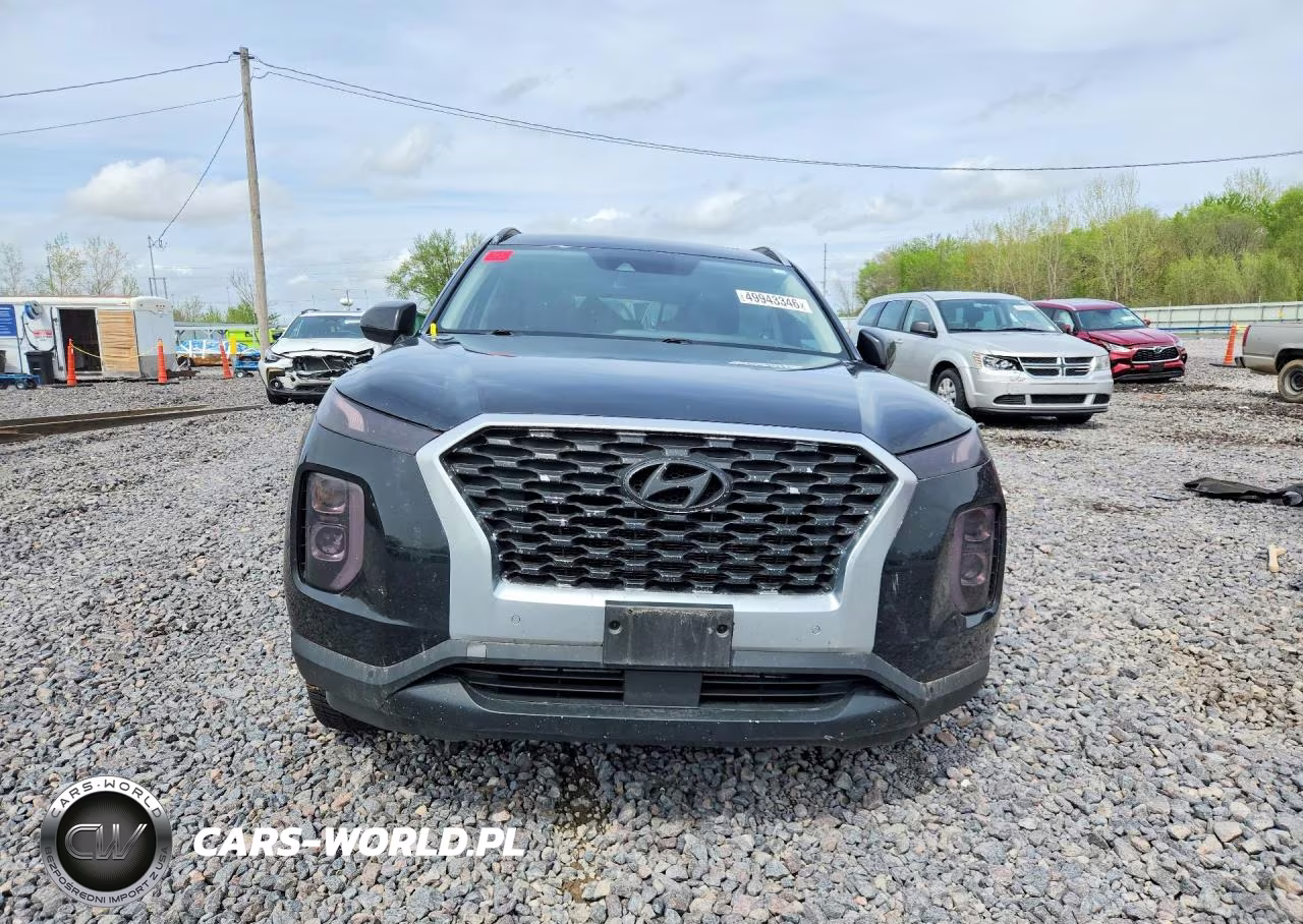 2020 Hyundai Palisade Sel VIN:KM8R34HE6LU111828 - 5