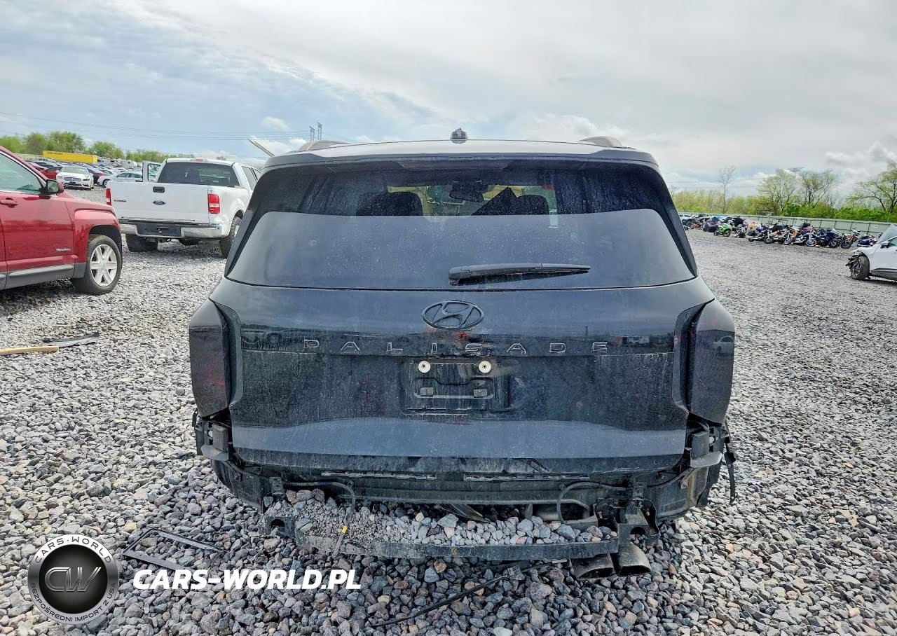 2020 Hyundai Palisade Sel VIN:KM8R34HE6LU111828 - 6