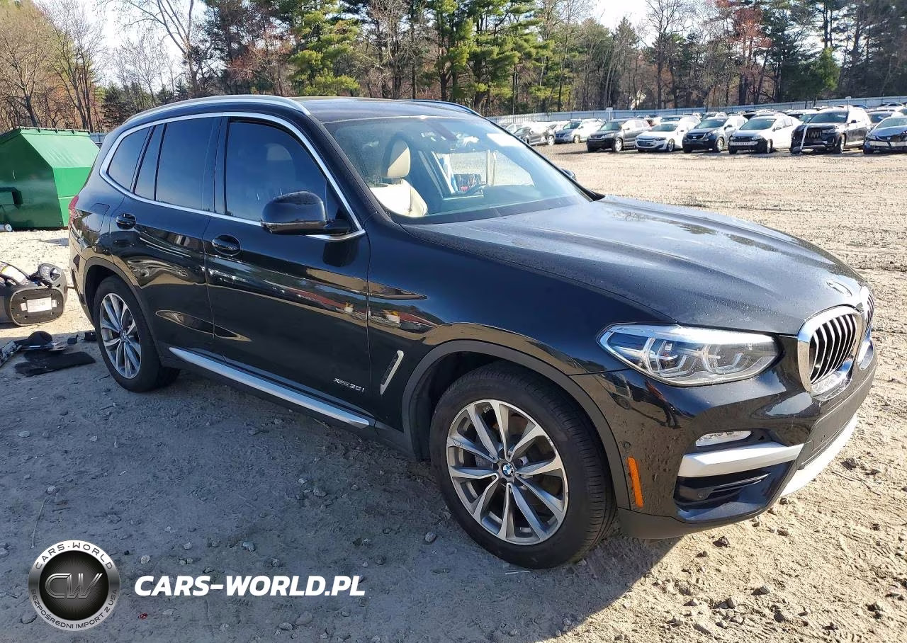 2018 BMW X3 xDrive30I VIN:5UXTR9C55JLC79221 - 4