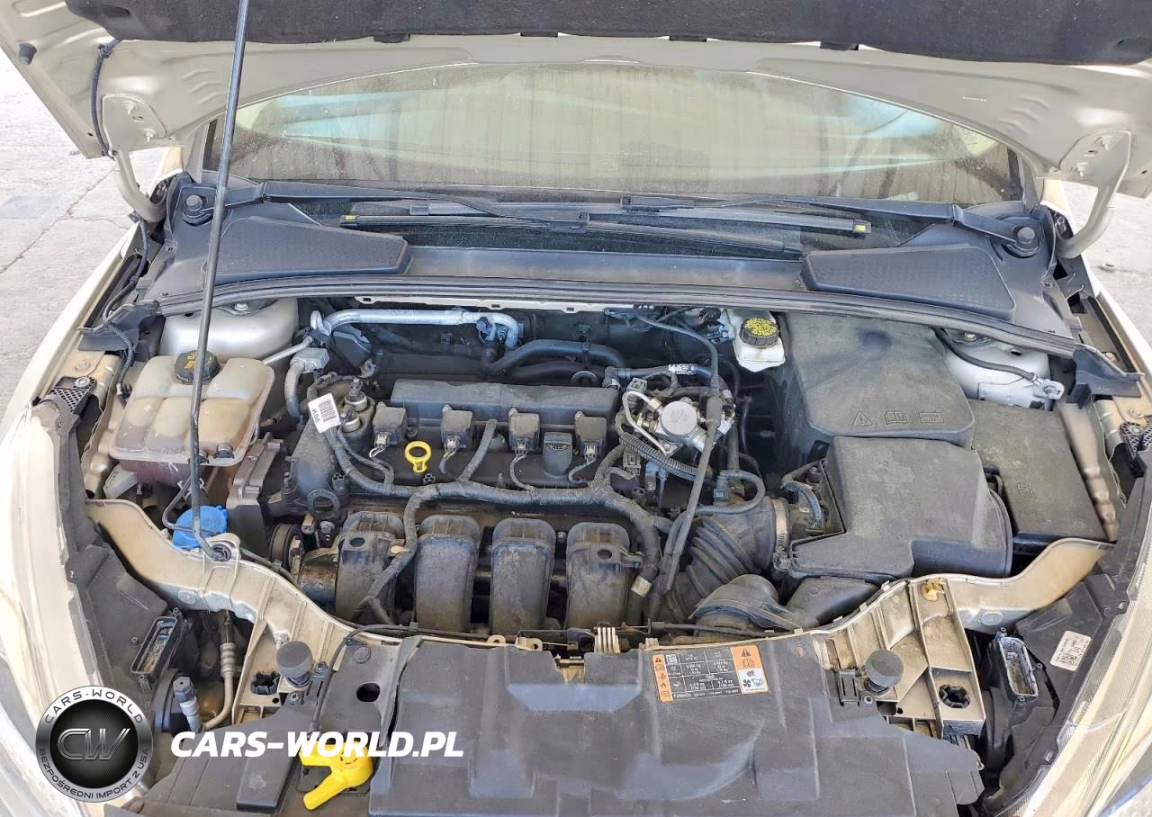 2018 Ford Focus Se VIN:1FADP3F2XJL265716 - 11