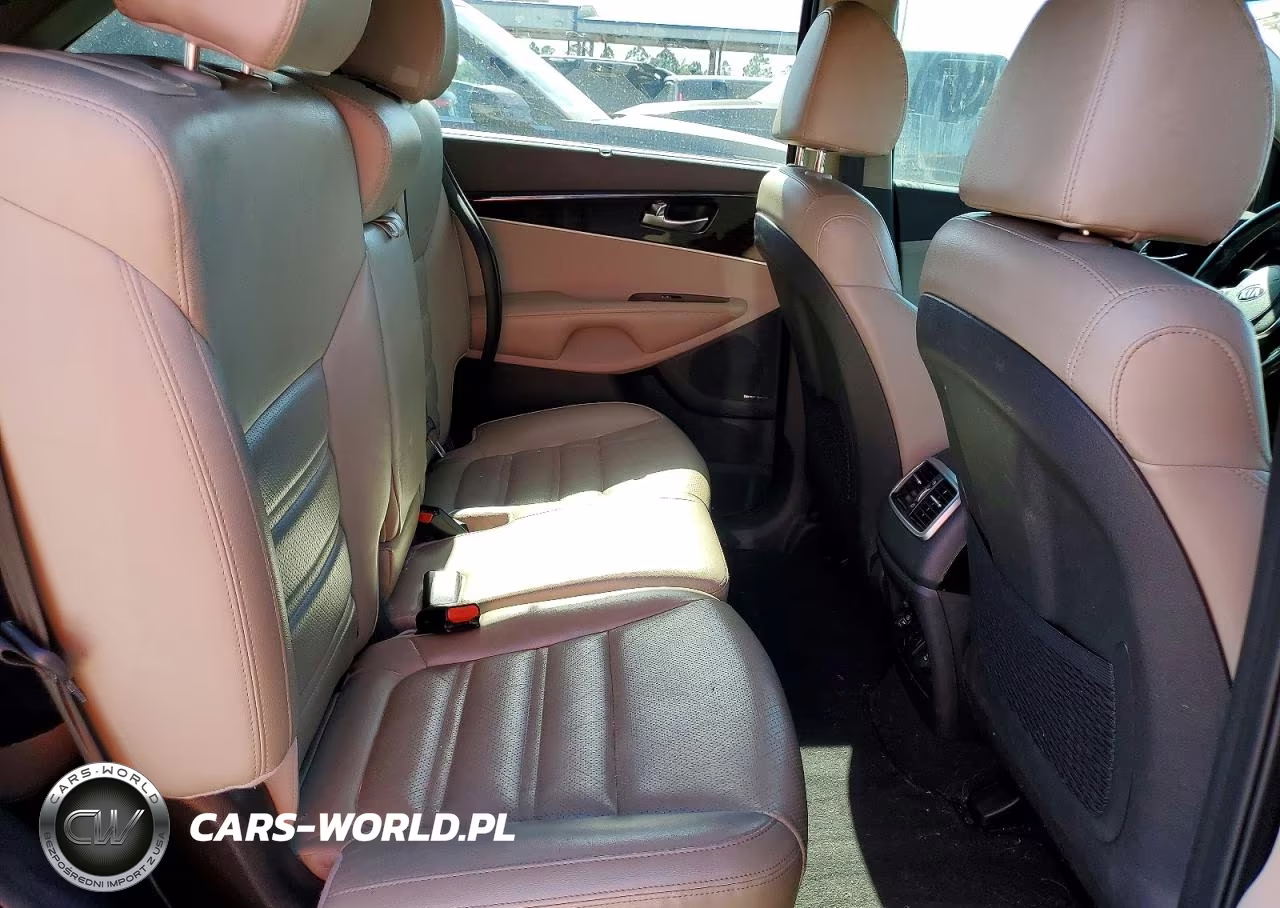 2019 Kia Sorento Ex V6 VIN:5XYPH4A51KG453369 - 11