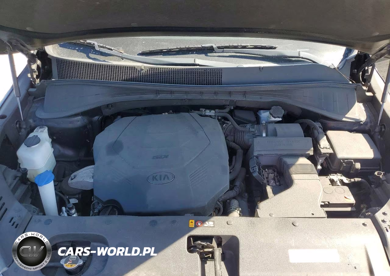 2019 Kia Sorento Ex V6 VIN:5XYPH4A51KG453369 - 12