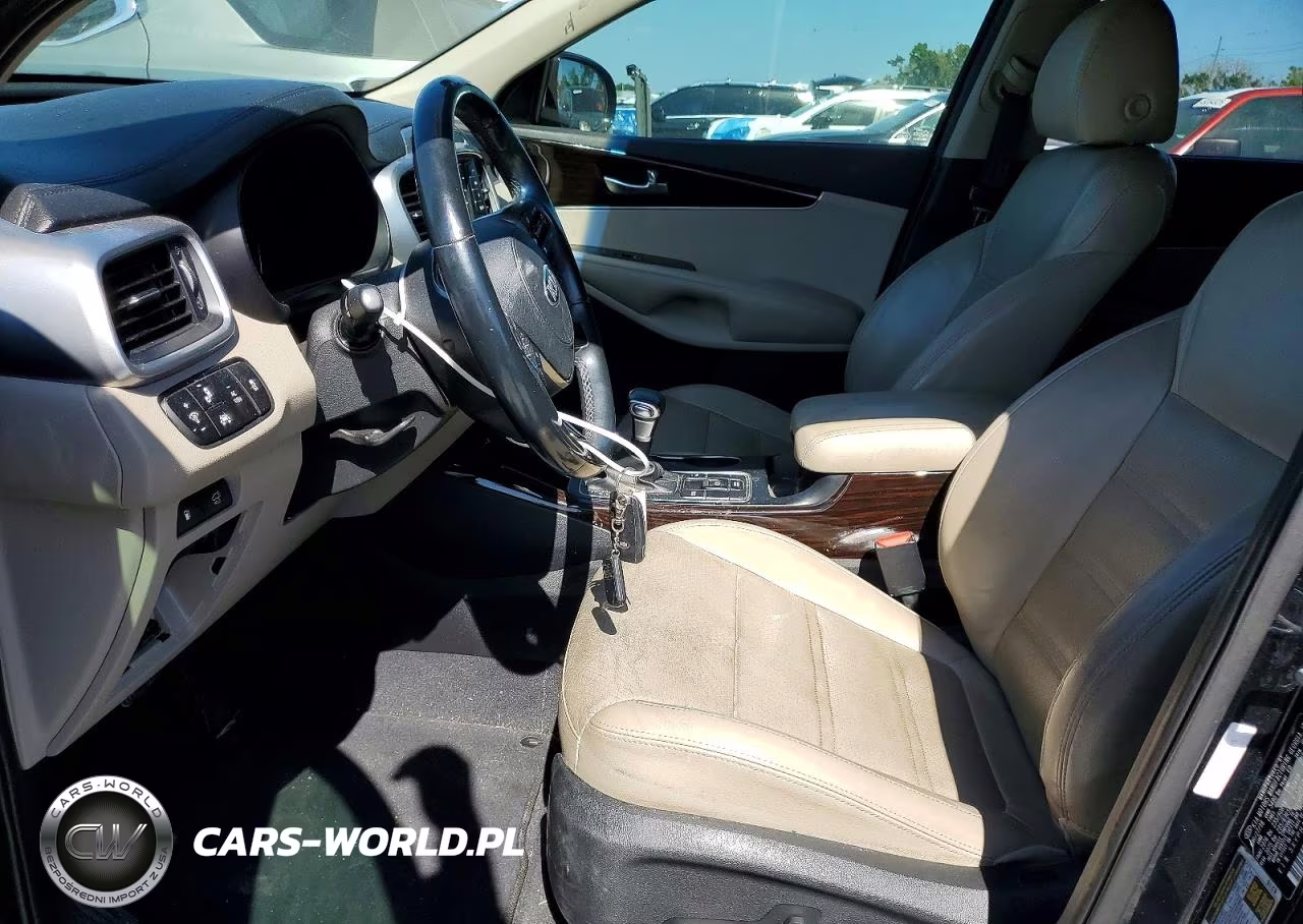 2019 Kia Sorento Ex V6 VIN:5XYPH4A51KG453369 - 7