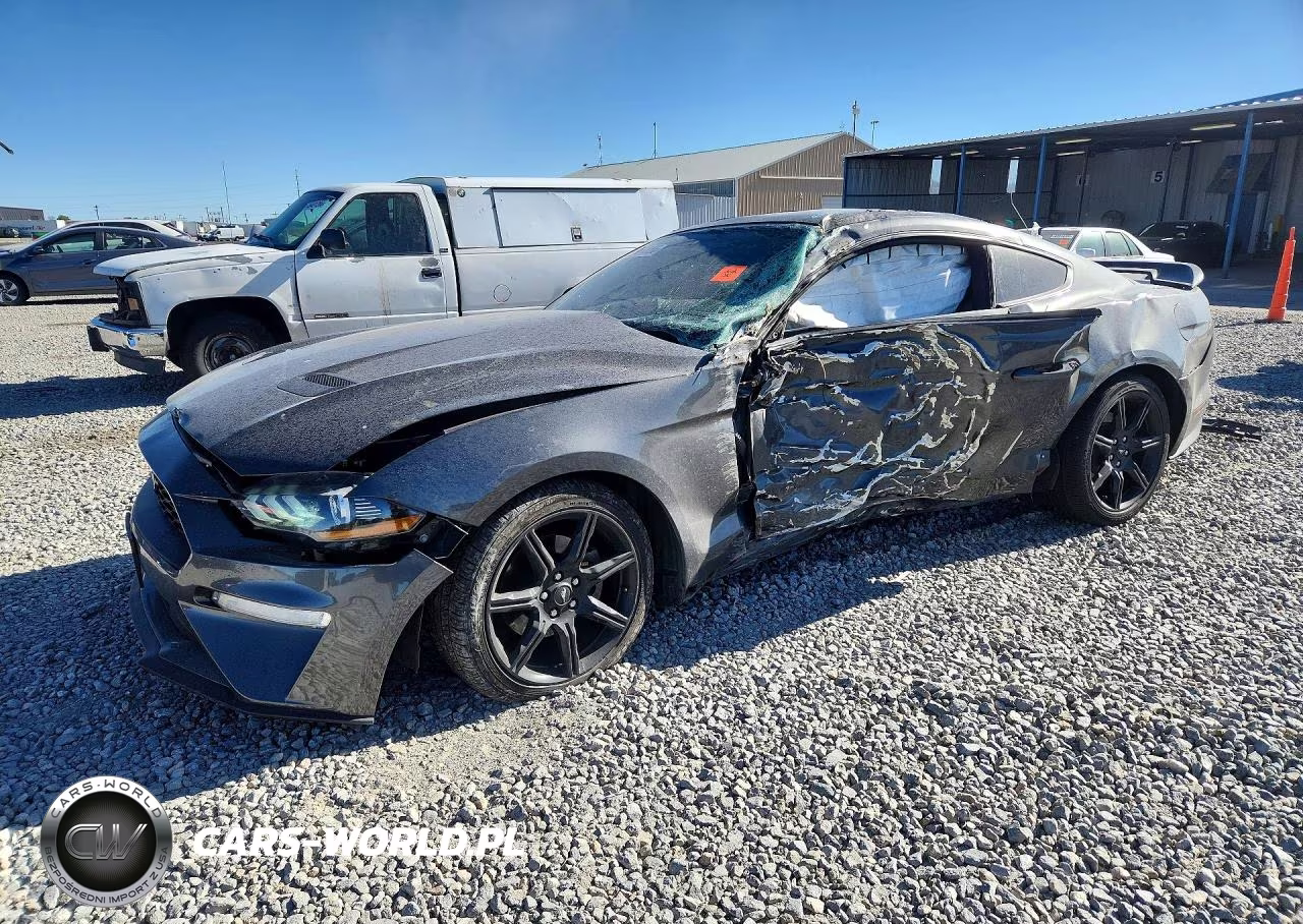 2019 Ford Mustang
