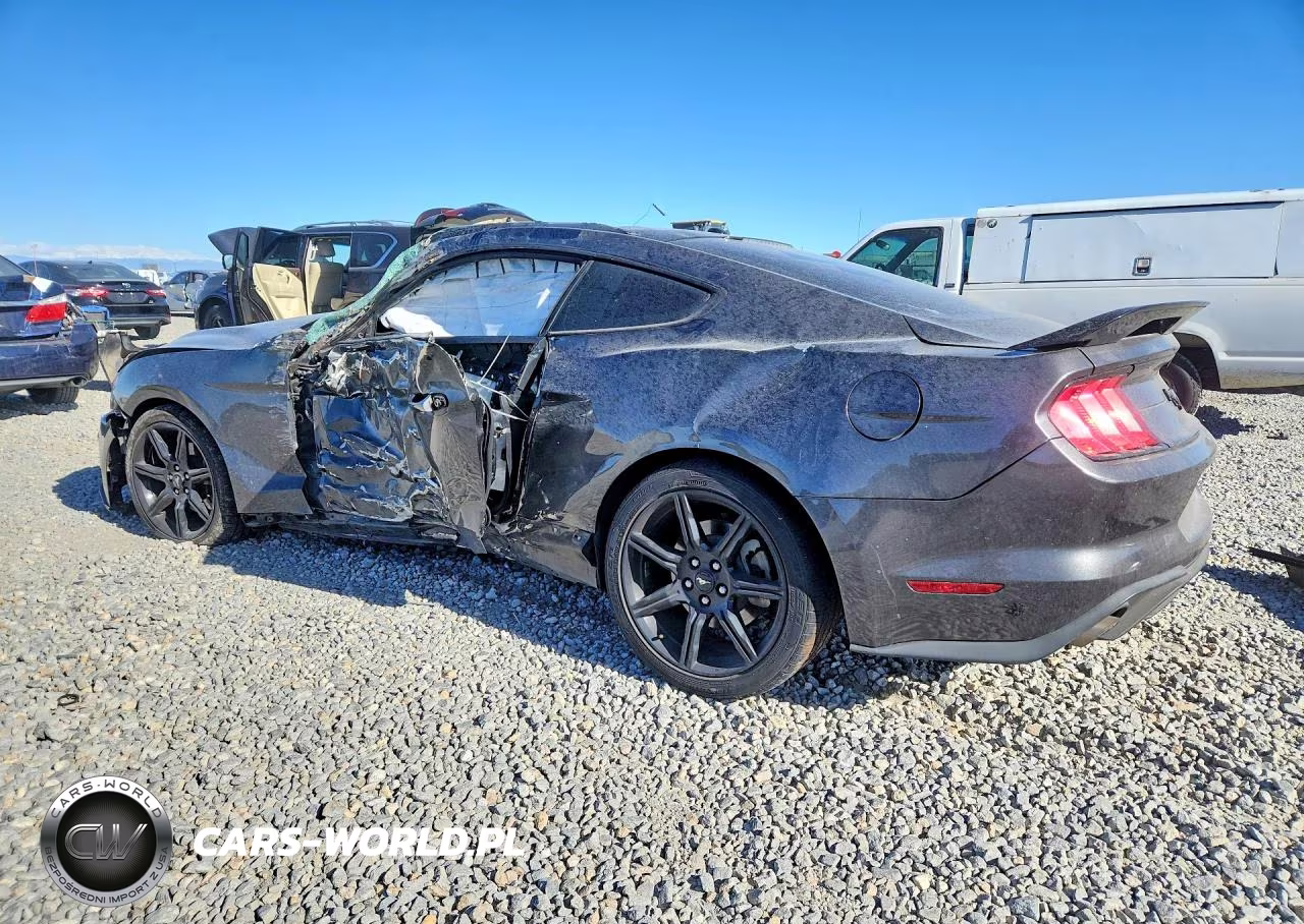 2019 Ford Mustang VIN:1FA6P8TH7K5132707 - 2