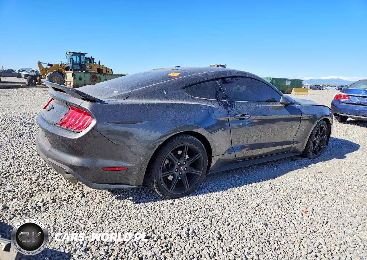 2019 Ford Mustang VIN:1FA6P8TH7K5132707 - 3
