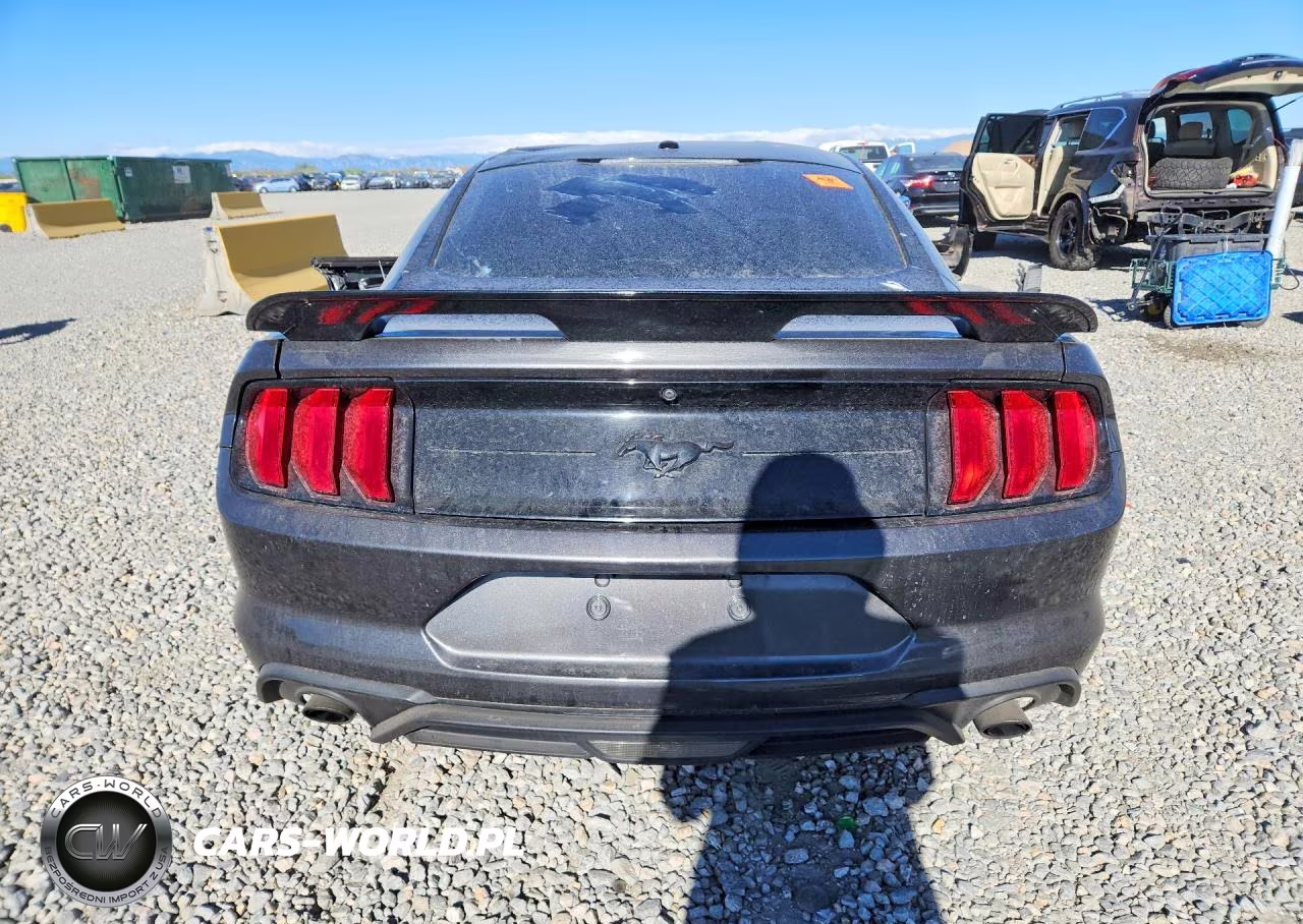 2019 Ford Mustang VIN:1FA6P8TH7K5132707 - 6