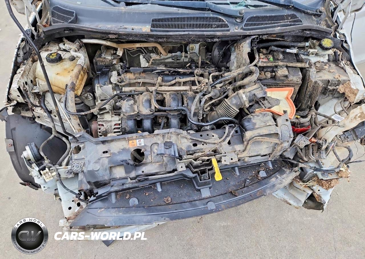 2014 Ford Fiesta Se VIN:3FADP4EJ9EM220849 - 11