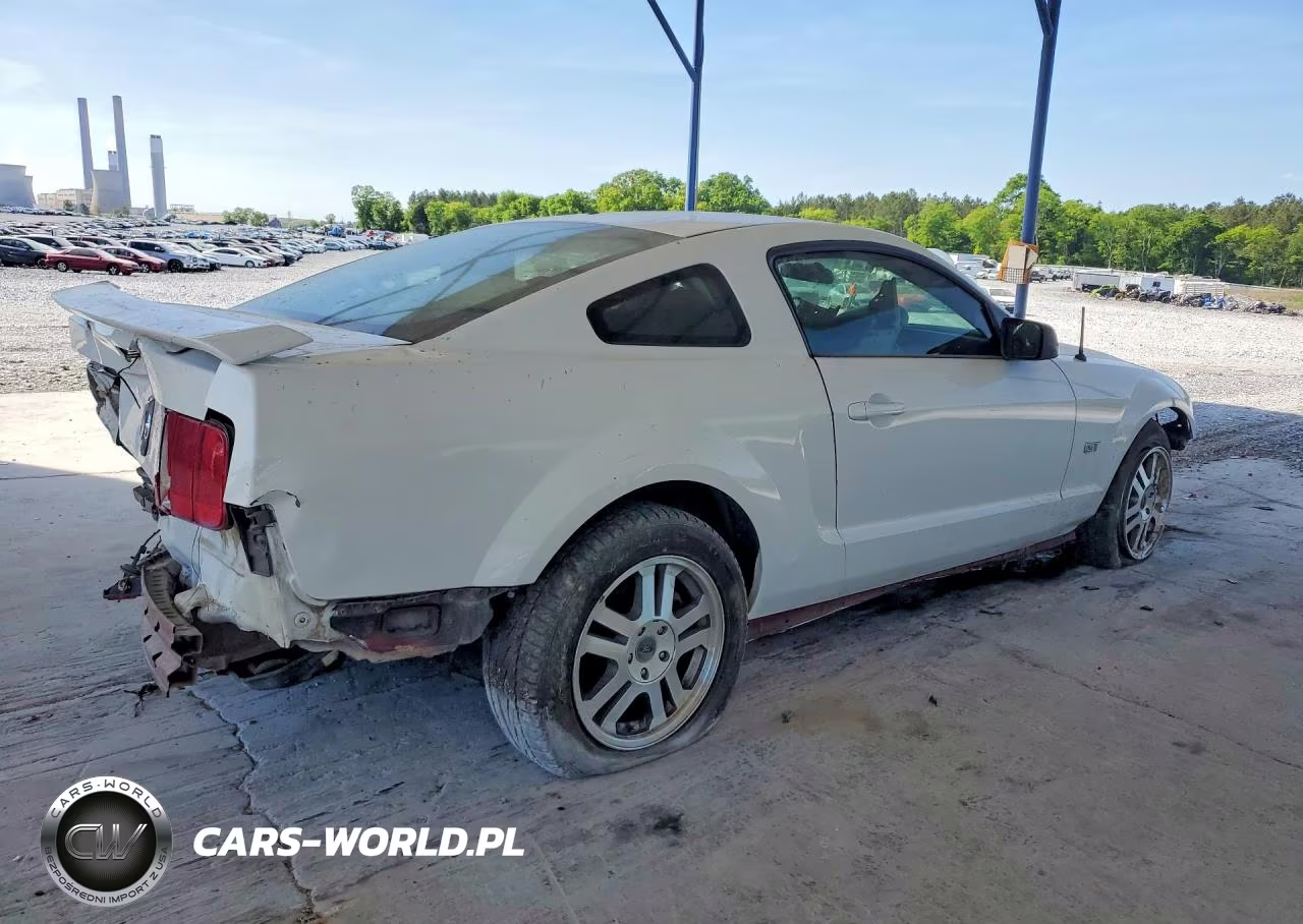 2005 Ford Mustang Gt VIN:1ZVFT82H955142521 - 3