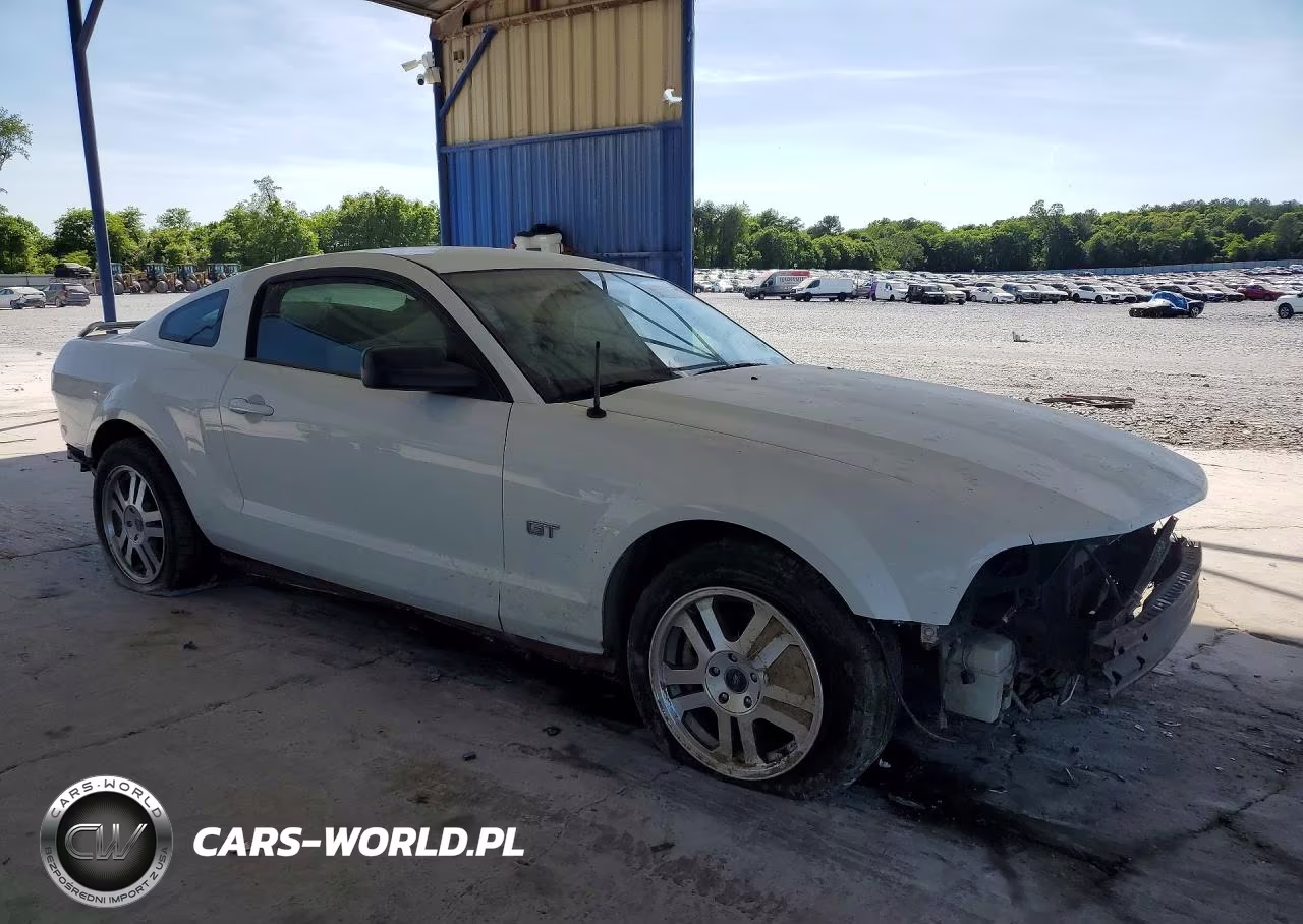 2005 Ford Mustang Gt VIN:1ZVFT82H955142521 - 4
