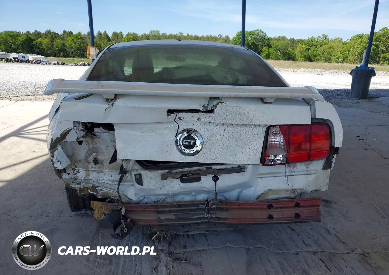 2005 Ford Mustang Gt VIN:1ZVFT82H955142521 - 6
