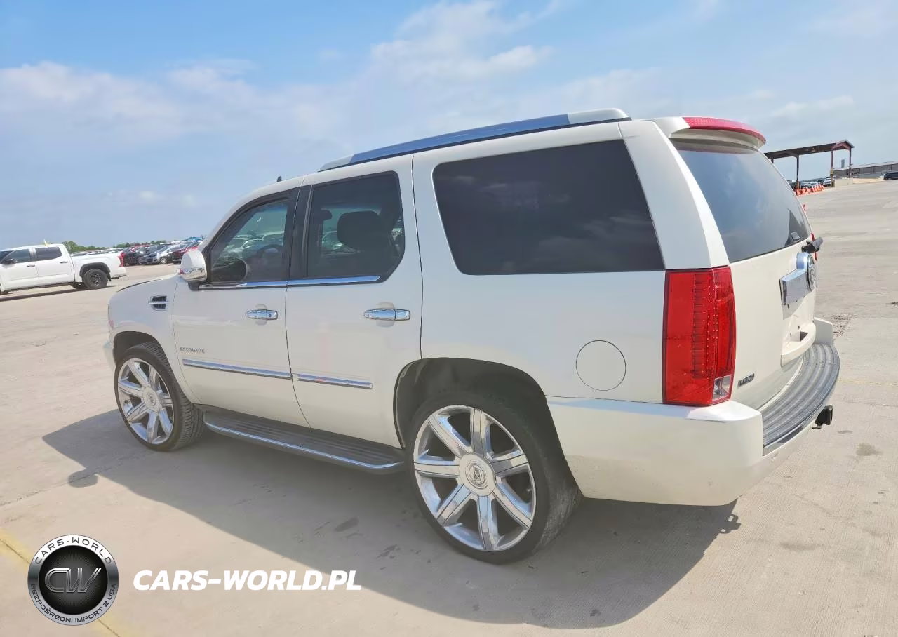 2011 Cadillac Escalade Luxury VIN:1GYS4BEF0BR319753 - 2