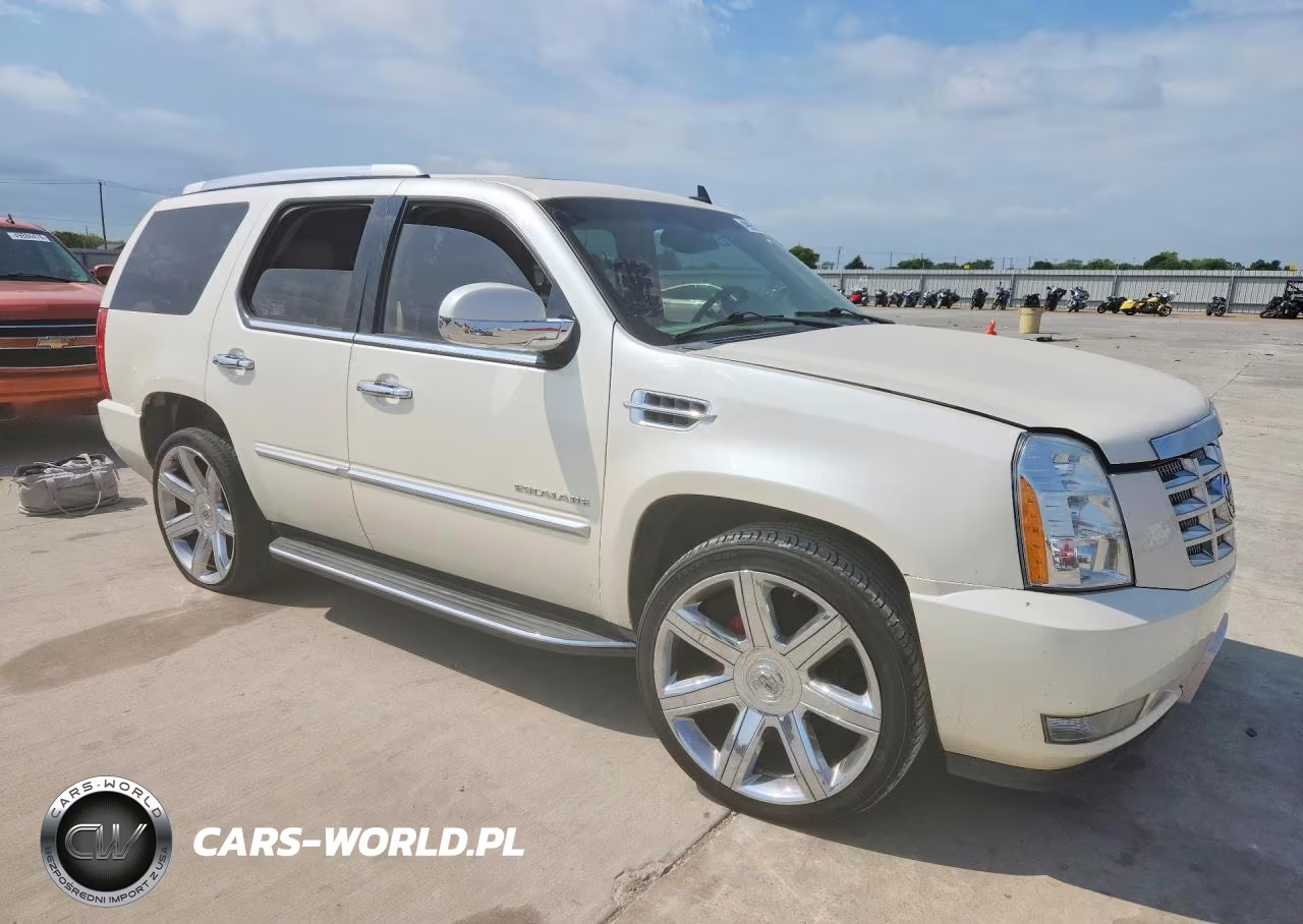 2011 Cadillac Escalade Luxury VIN:1GYS4BEF0BR319753 - 4