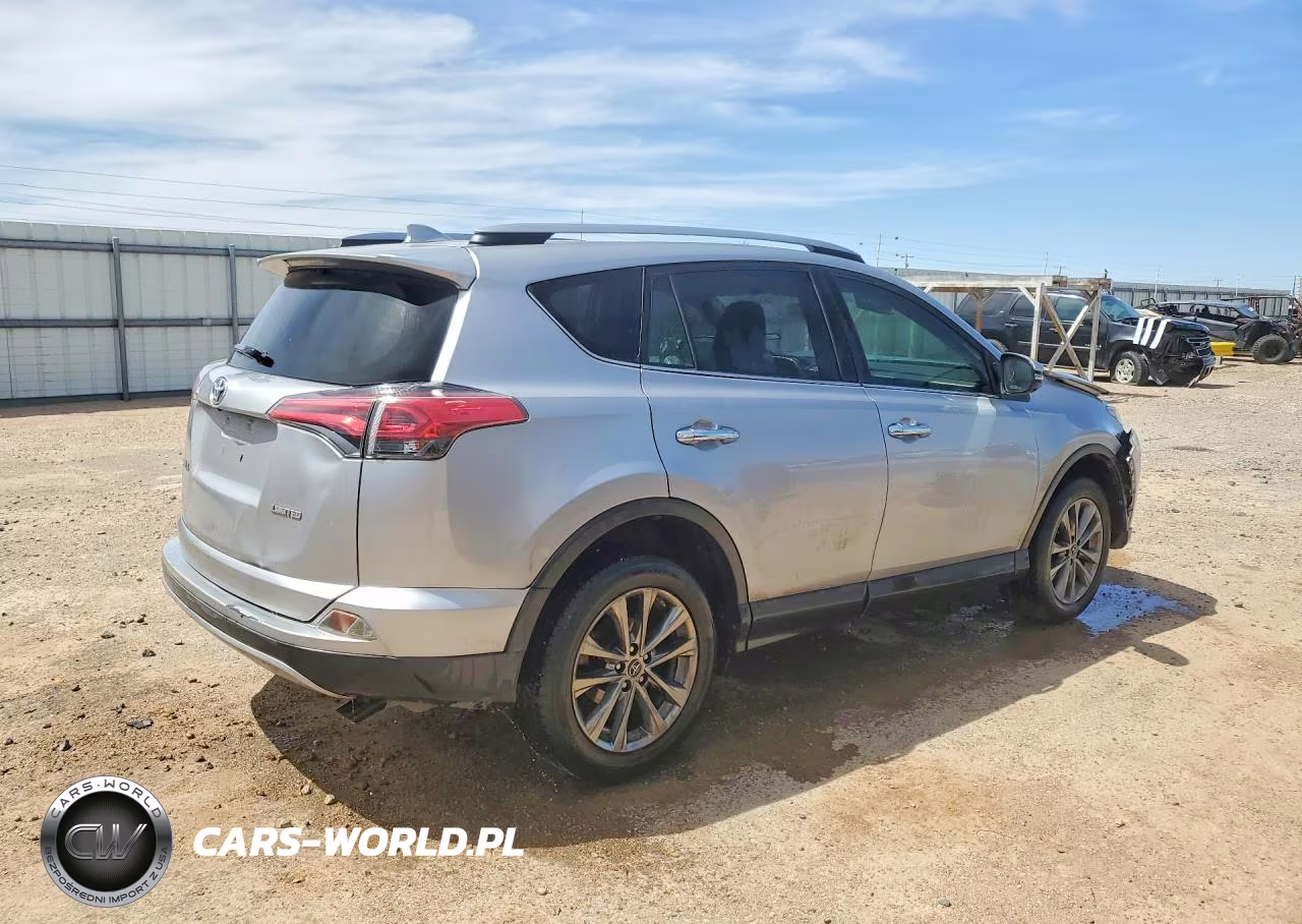 2018 Toyota Rav4 Limited VIN:JTMYFREV3JJ196909 - 3
