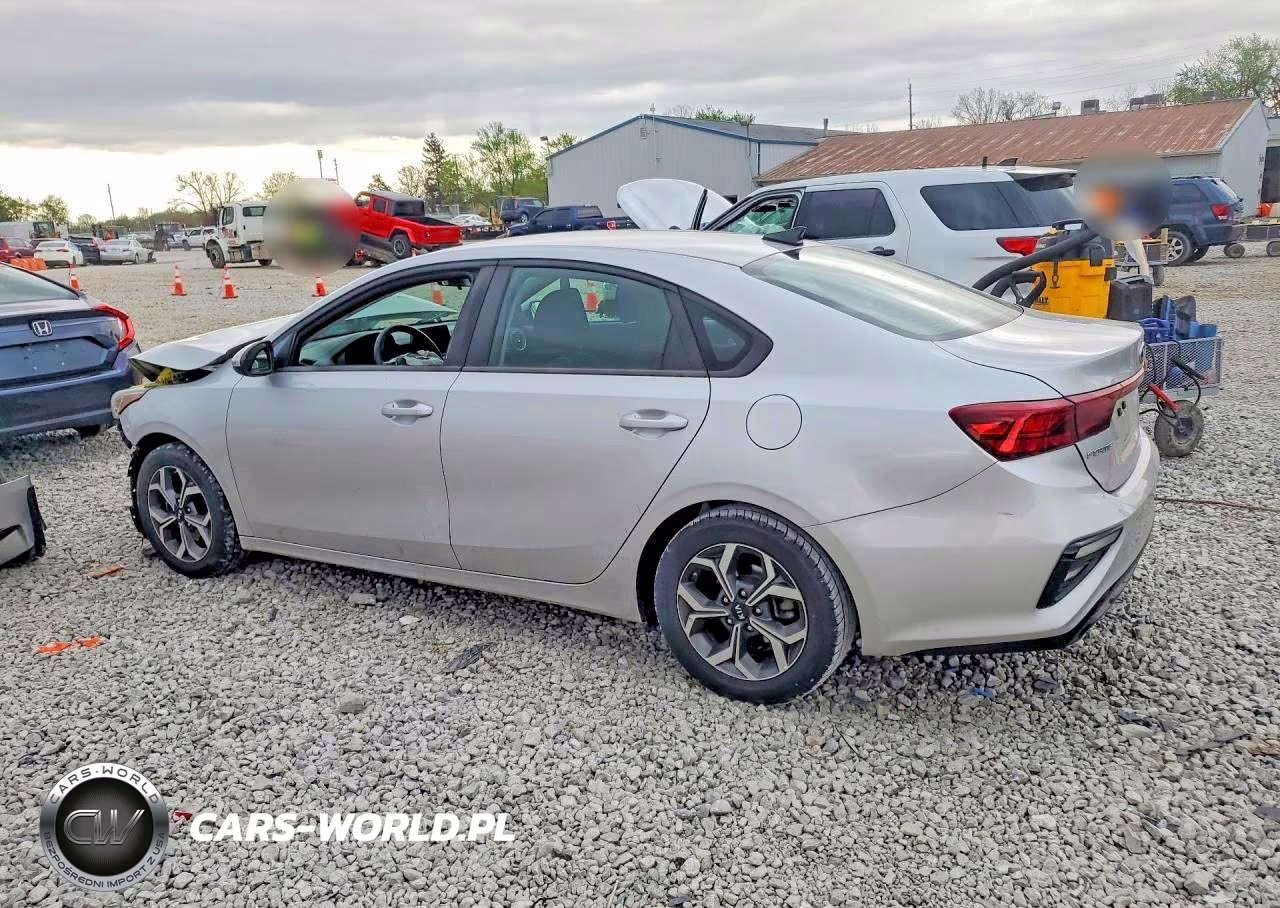 2019 Kia Forte Lxs VIN:3KPF24AD6KE109733 - 2