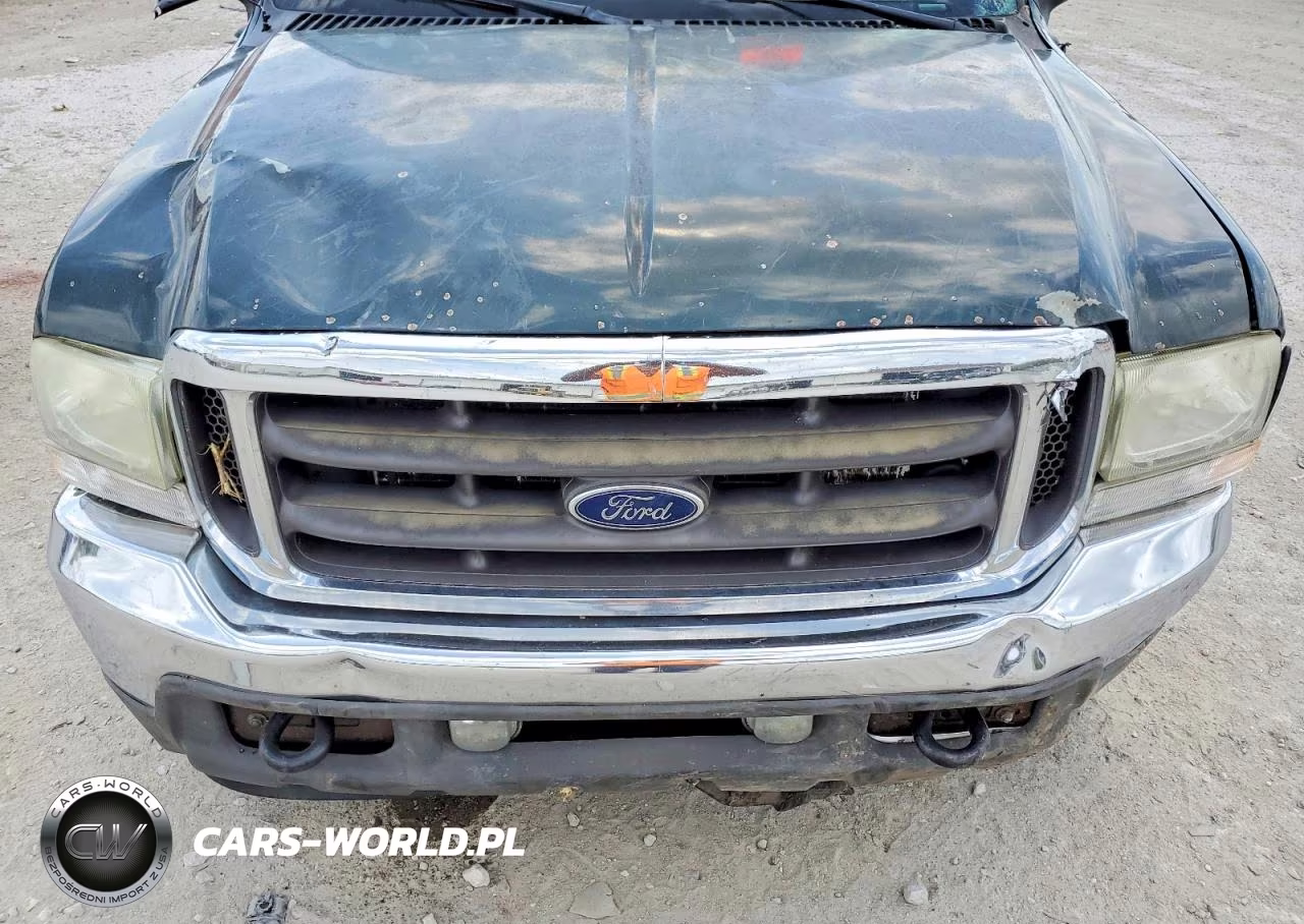 2002 Ford F350 Srw Super Duty VIN:1FTSW31F42EC38712 - 11