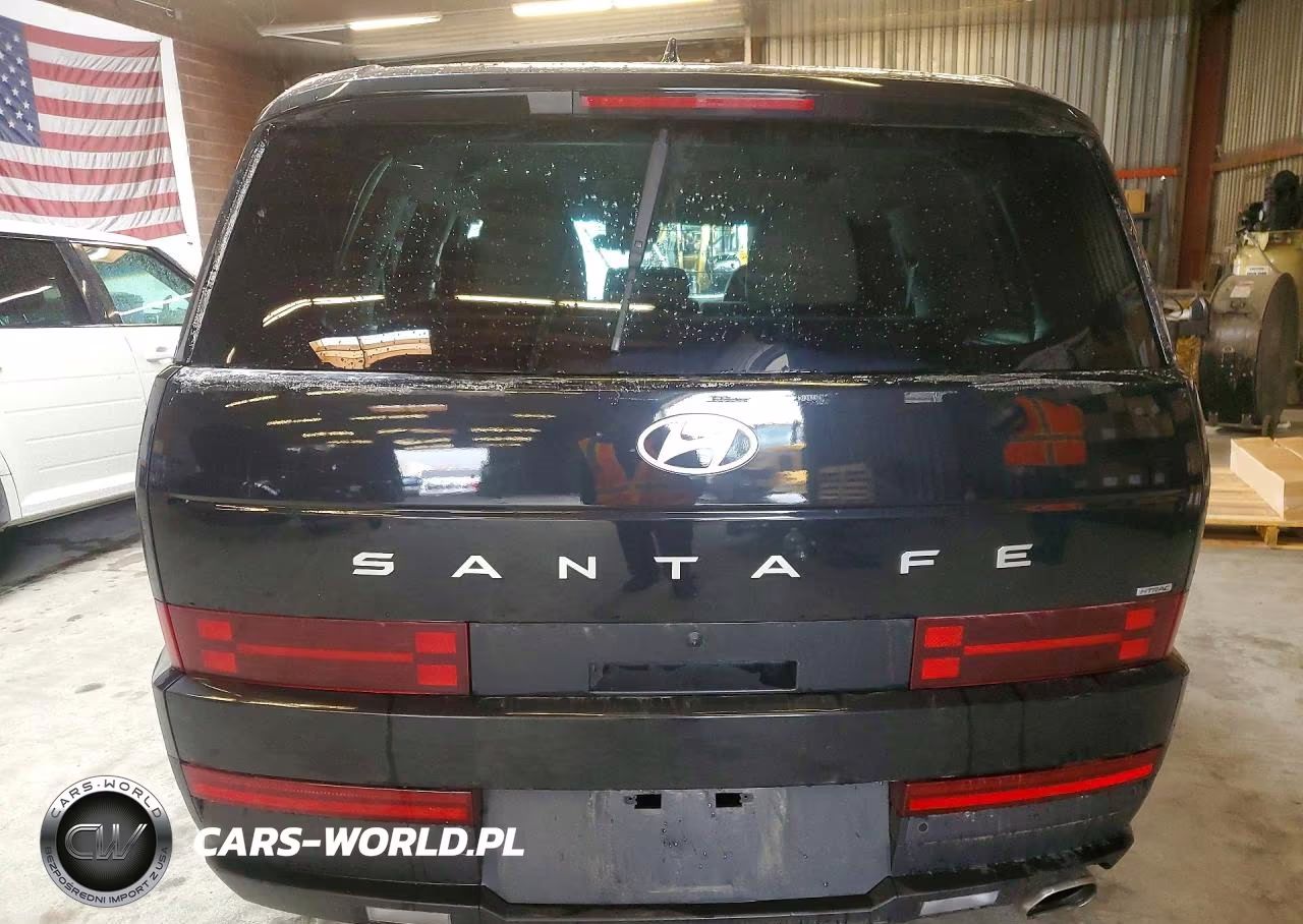 2025 Hyundai Santa Fe Se VIN:5NMP1DGL3SH121238 - 6