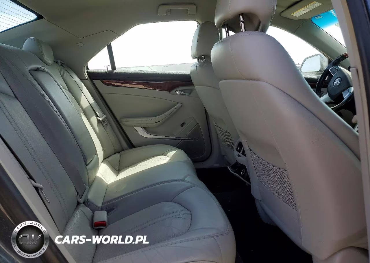 2010 Cadillac Cts Luxury Collection VIN:1G6DE5EG6A0134764 - 10