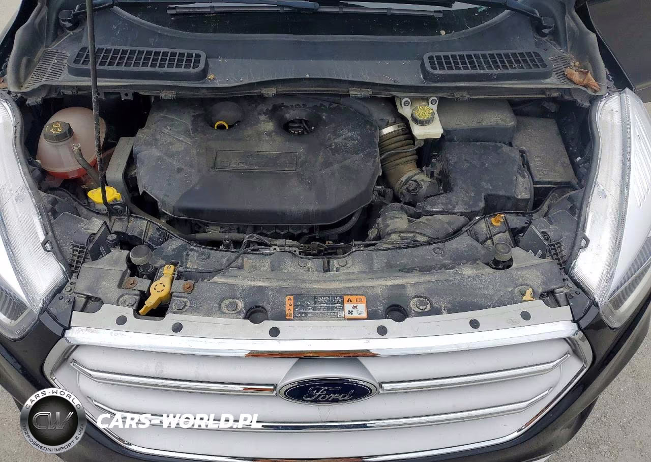 2019 Ford Escape Titanium VIN:1FMCU9J97KUC42584 - 11