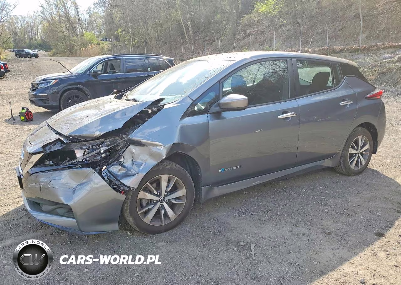 2019 Nissan Leaf S Plus
