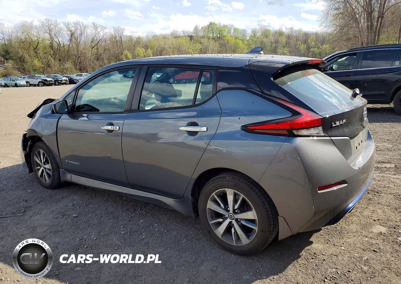 2019 Nissan Leaf S Plus VIN:1N4BZ1CP4KC320278 - 2
