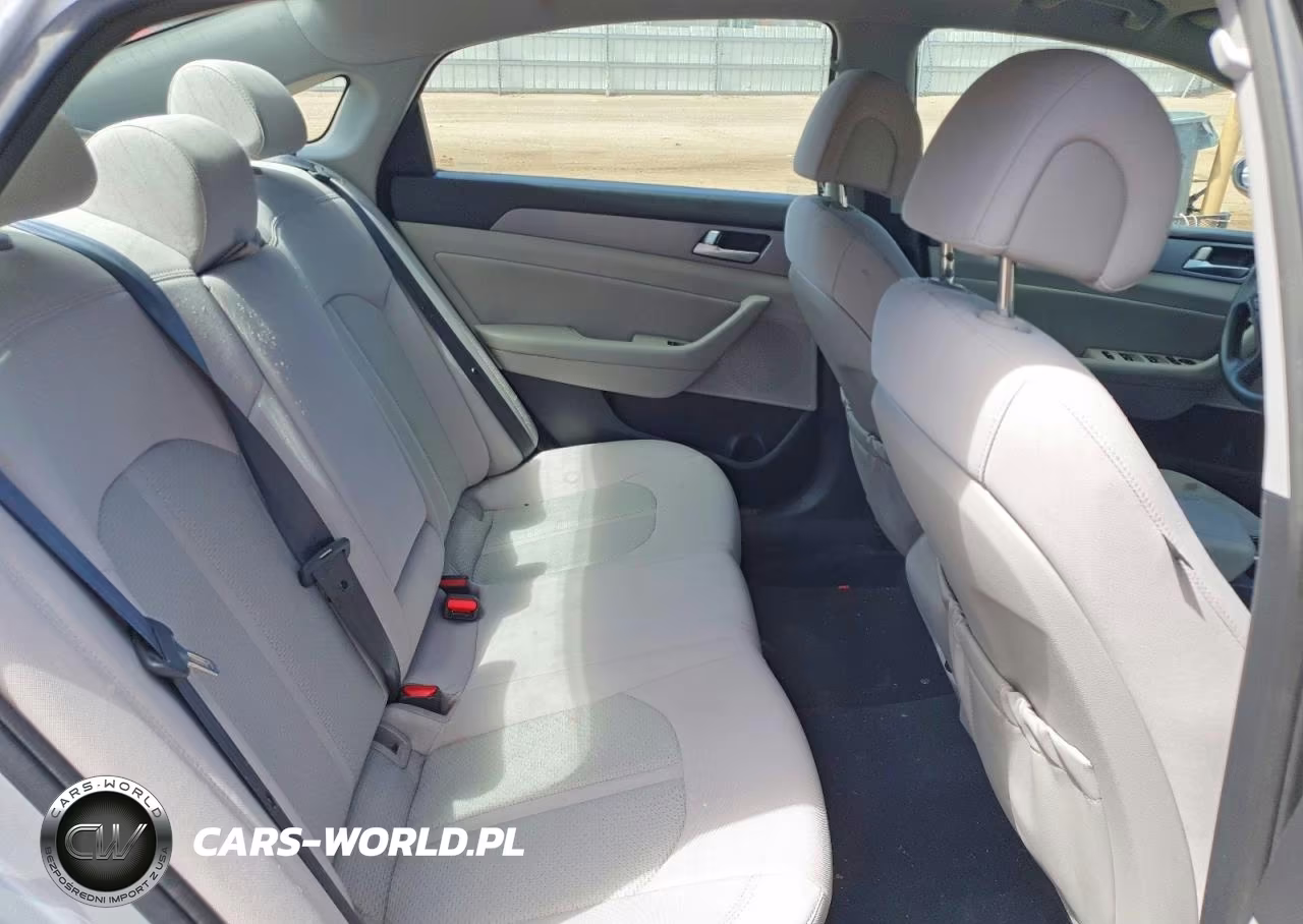 2015 Hyundai Sonata Eco VIN:5NPE24AA5FH159252 - 10