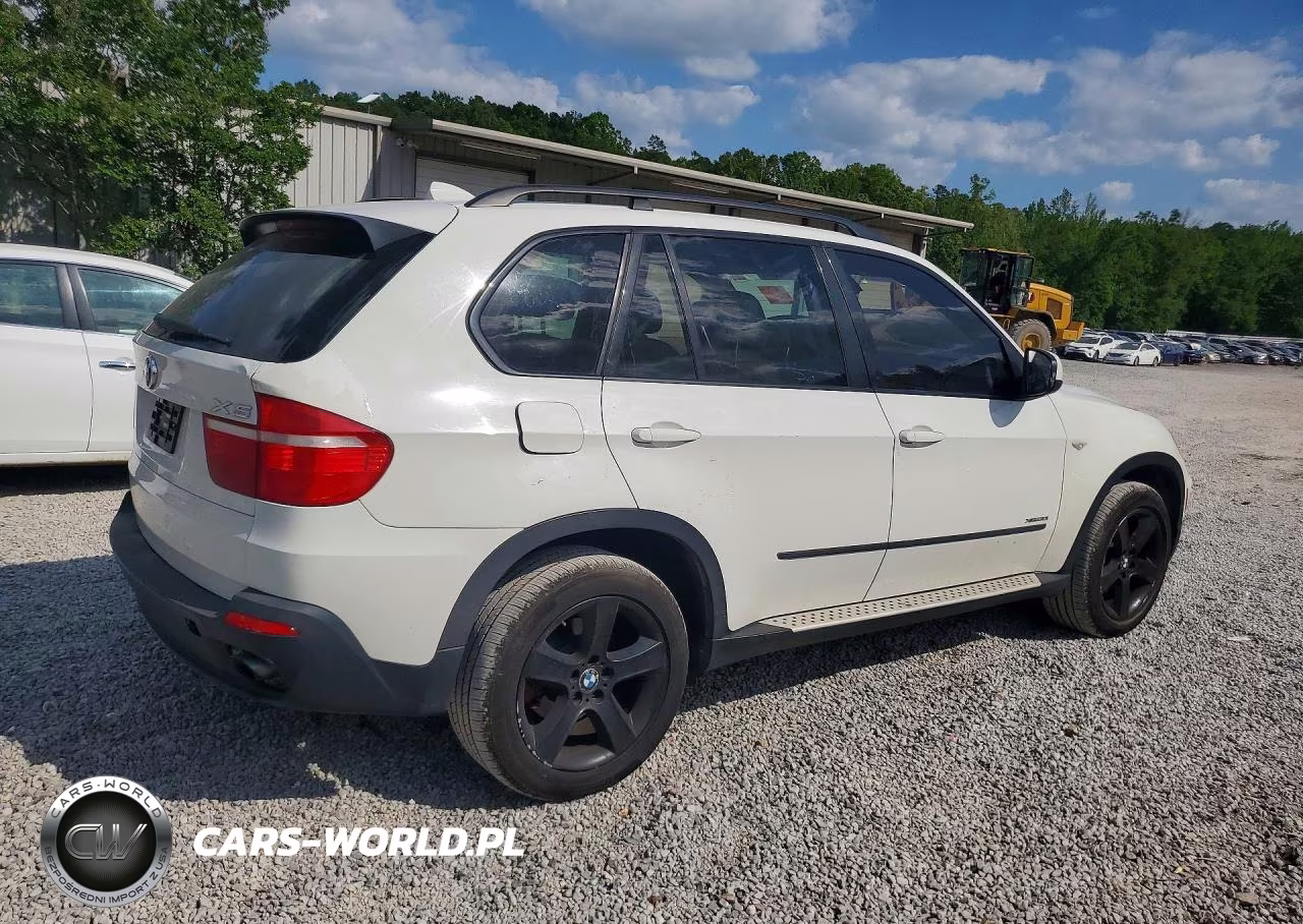 2010 BMW X5 xDrive30I VIN:5UXFE4C54AL384437 - 3