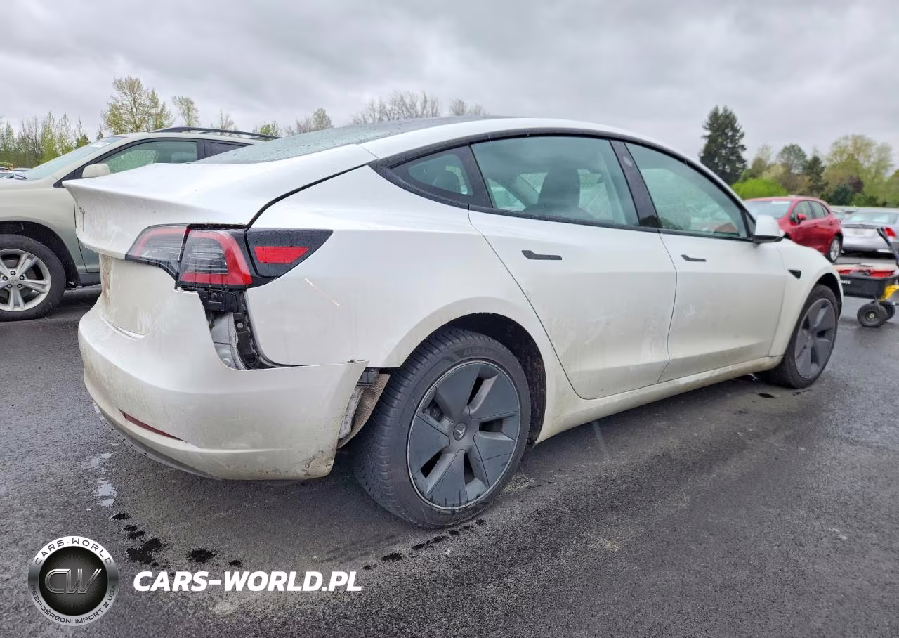 2026 Tesla Model 3 VIN:5YJ3E1EAXPF590340 - 3