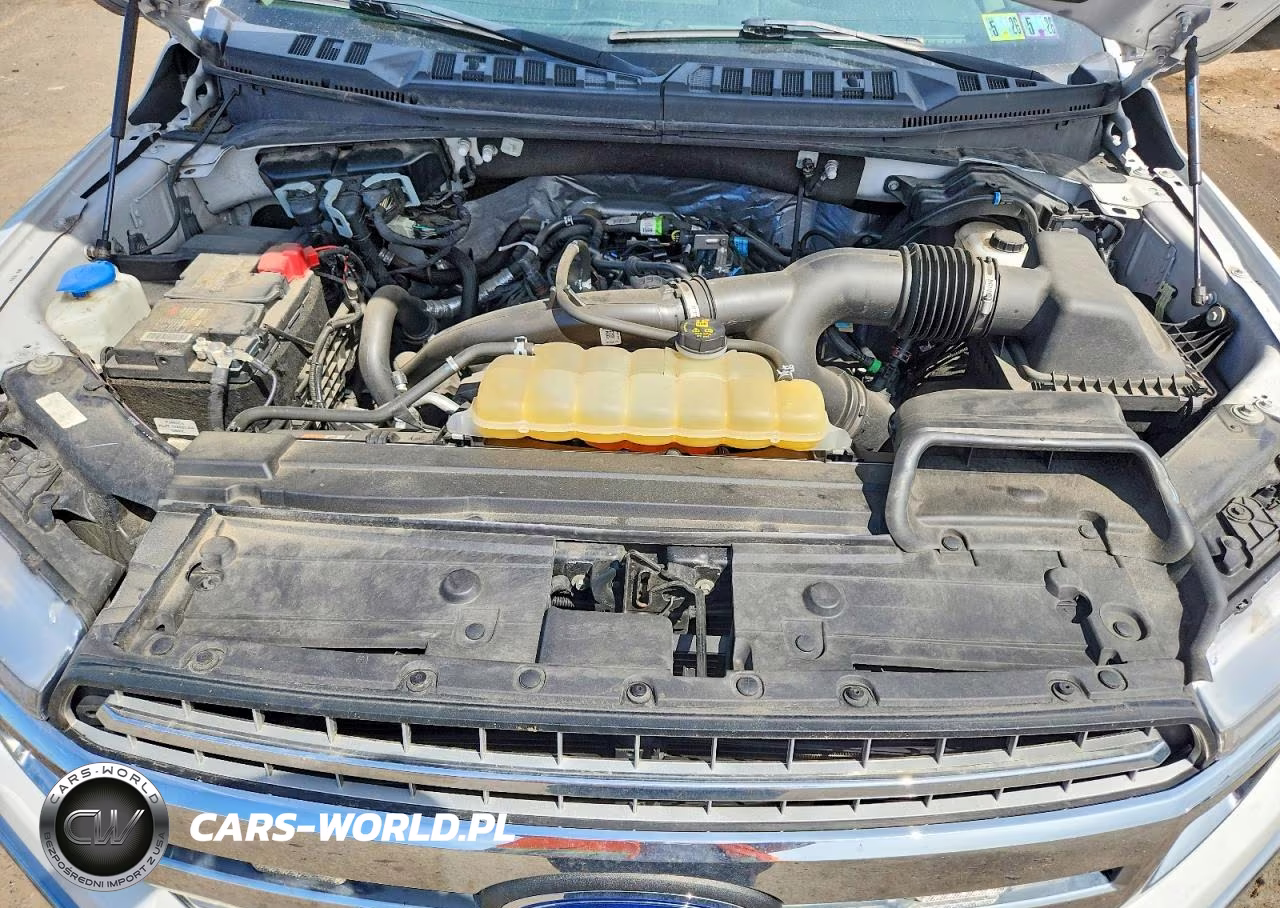 2020 Ford F150 Supercrew VIN:1FTEW1EP0LFB54970 - 11