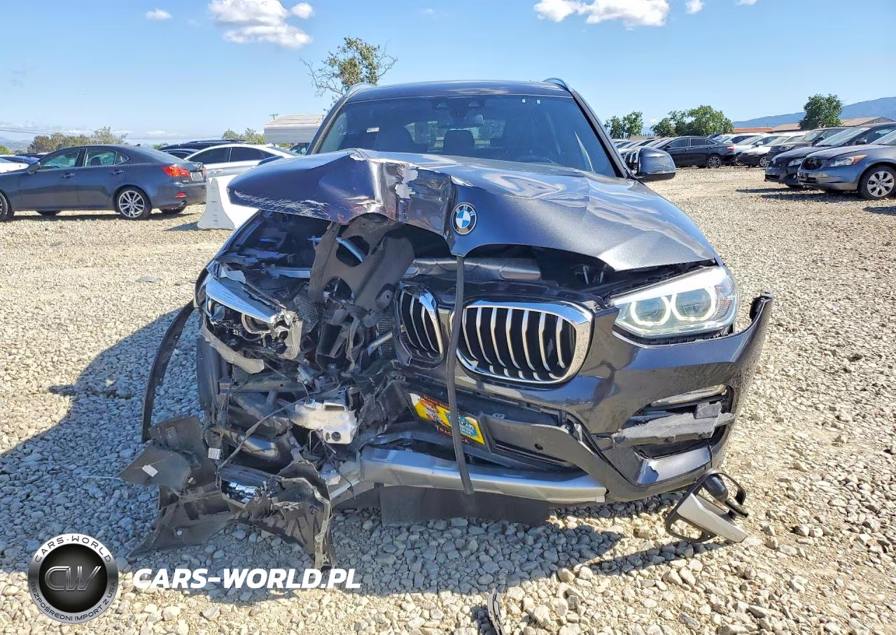 2019 BMW X3 Sdrive30I VIN:5UXTR7C56KLF24324 - 5