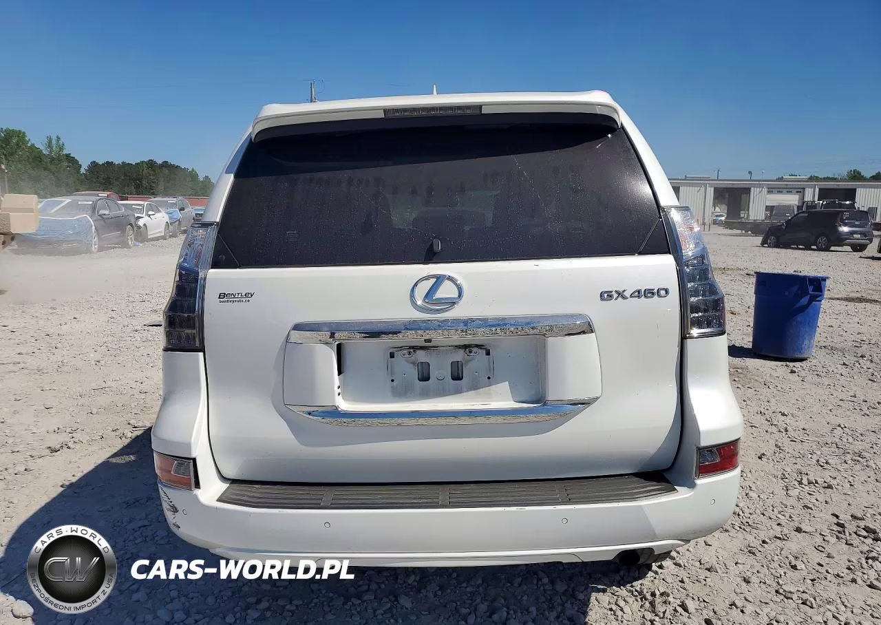 2019 Lexus Gx 460 VIN:JTJBM7FX9K5237907 - 6