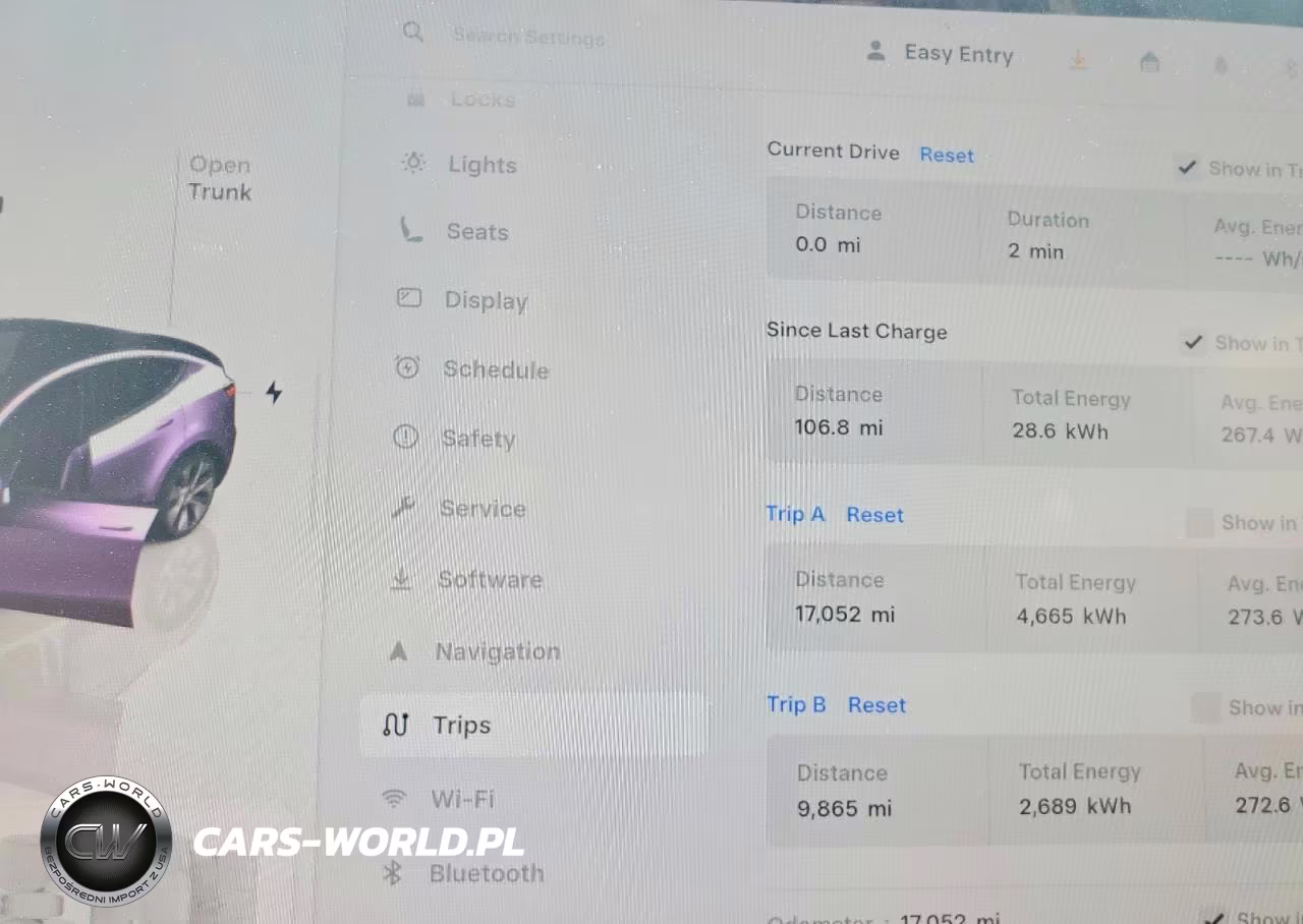 2023 Tesla Model Y VIN:7SAYGAEE5PF606224 - 9