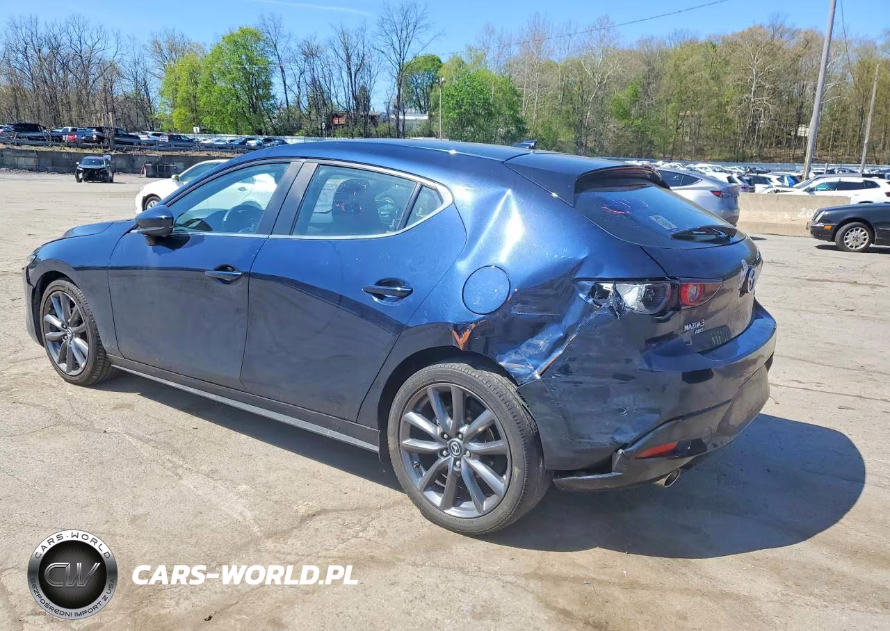 2019 Mazda 3 Preferred VIN:JM1BPBMM1K1135305 - 2