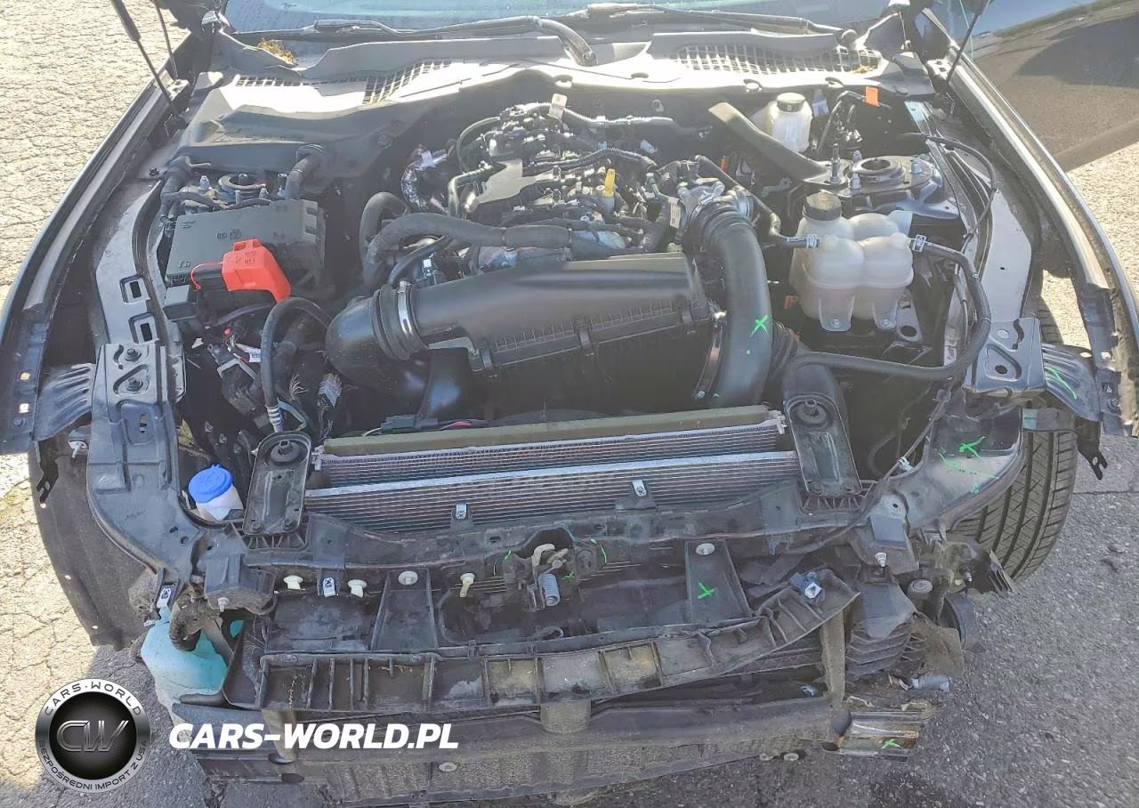 2024 Ford Mustang VIN:1FAGP8UH7R5127021 - 11