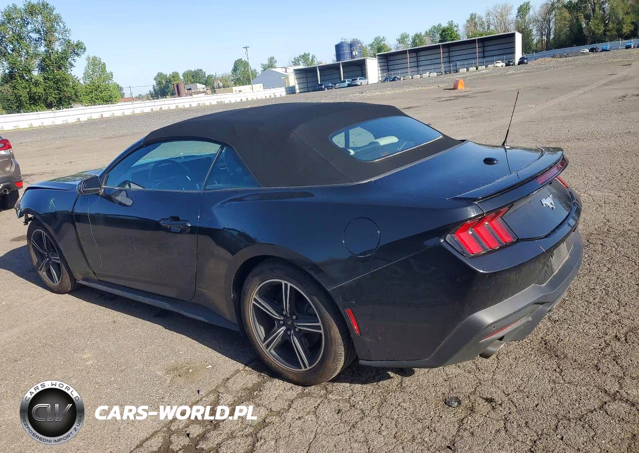 2024 Ford Mustang VIN:1FAGP8UH7R5127021 - 2