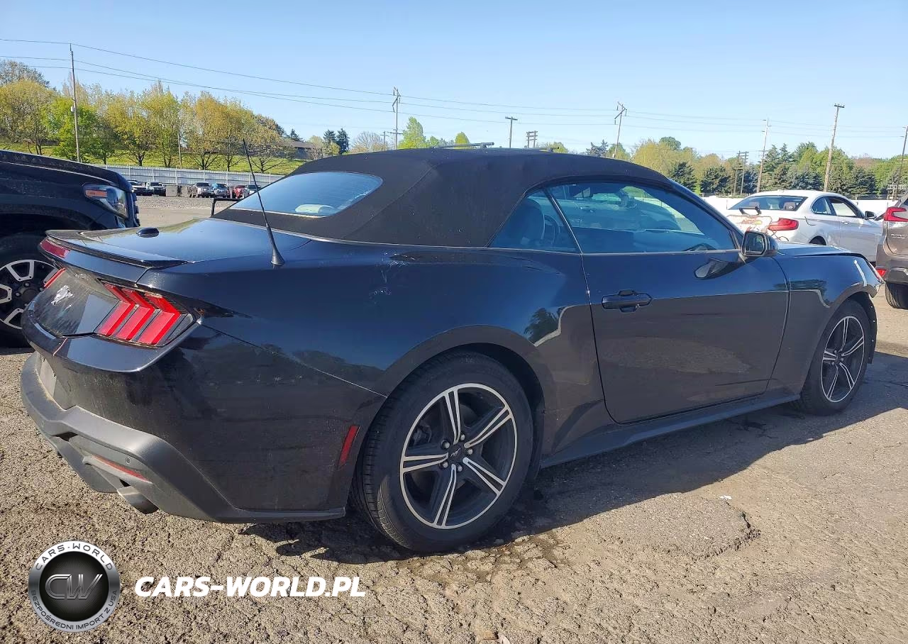2024 Ford Mustang VIN:1FAGP8UH7R5127021 - 3