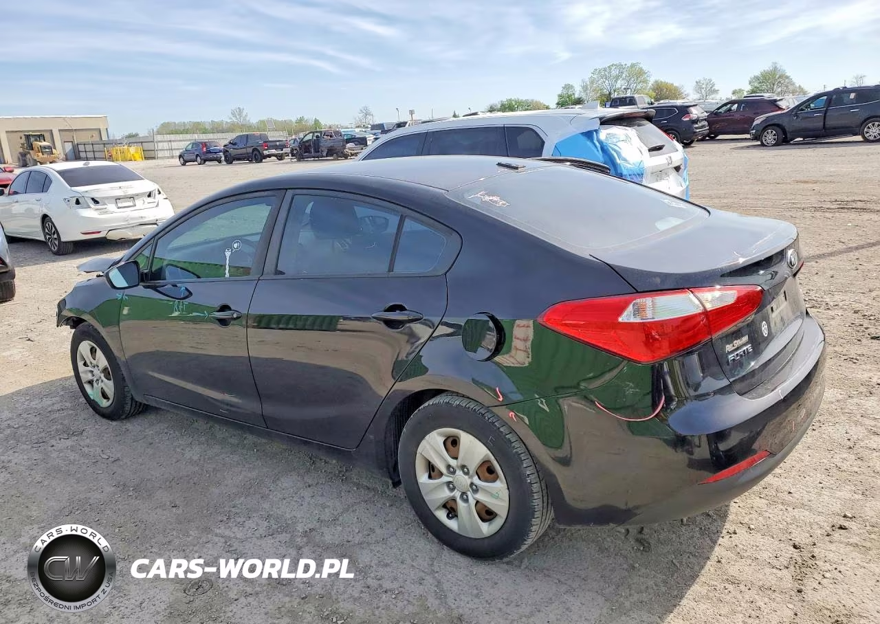 2016 Kia Forte Lx VIN:KNAFK4A60G5614779 - 2