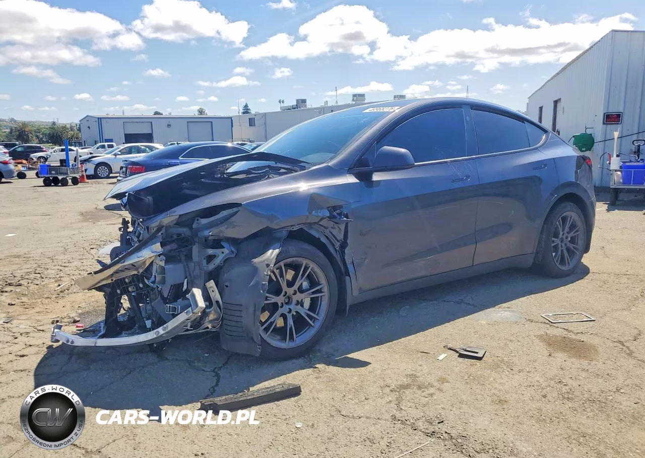 2025 Tesla Model Y