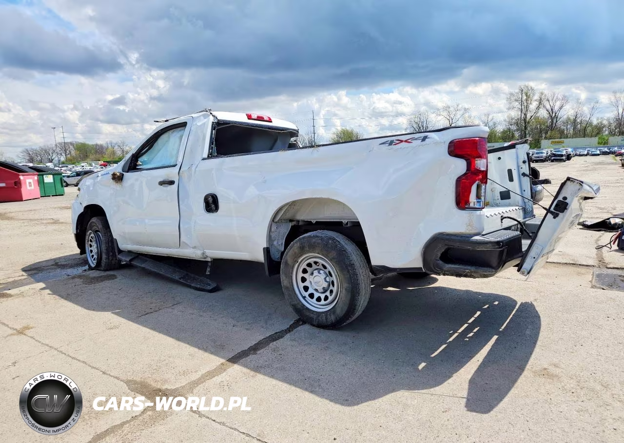 2020 Chevrolet Silverado K1500 VIN:3GCNYAEF9LG141876 - 2