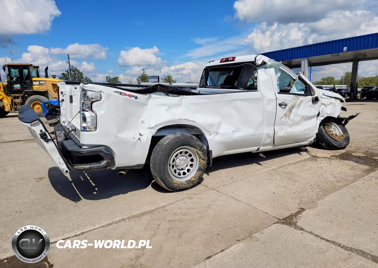 2020 Chevrolet Silverado K1500 VIN:3GCNYAEF9LG141876 - 3