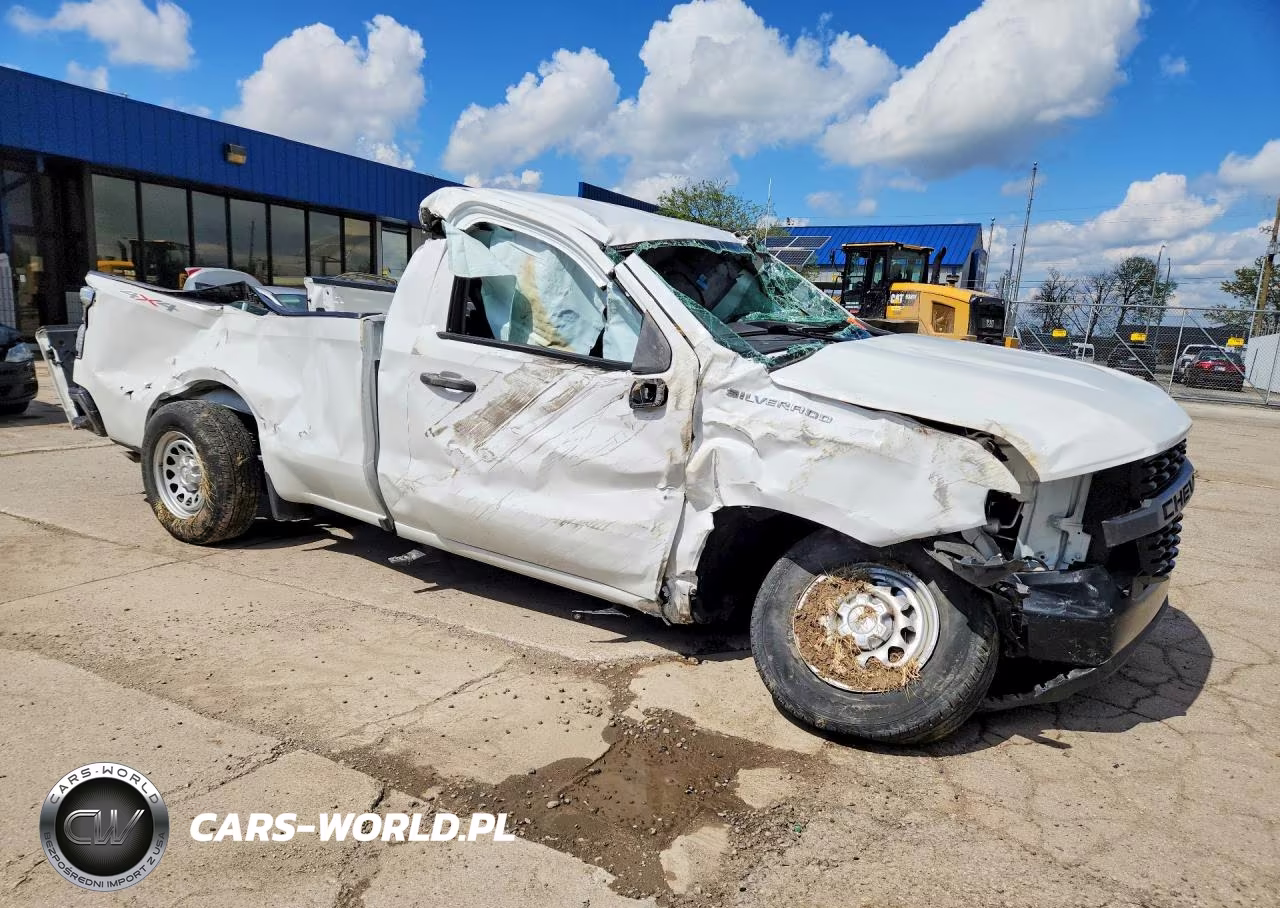 2020 Chevrolet Silverado K1500 VIN:3GCNYAEF9LG141876 - 4