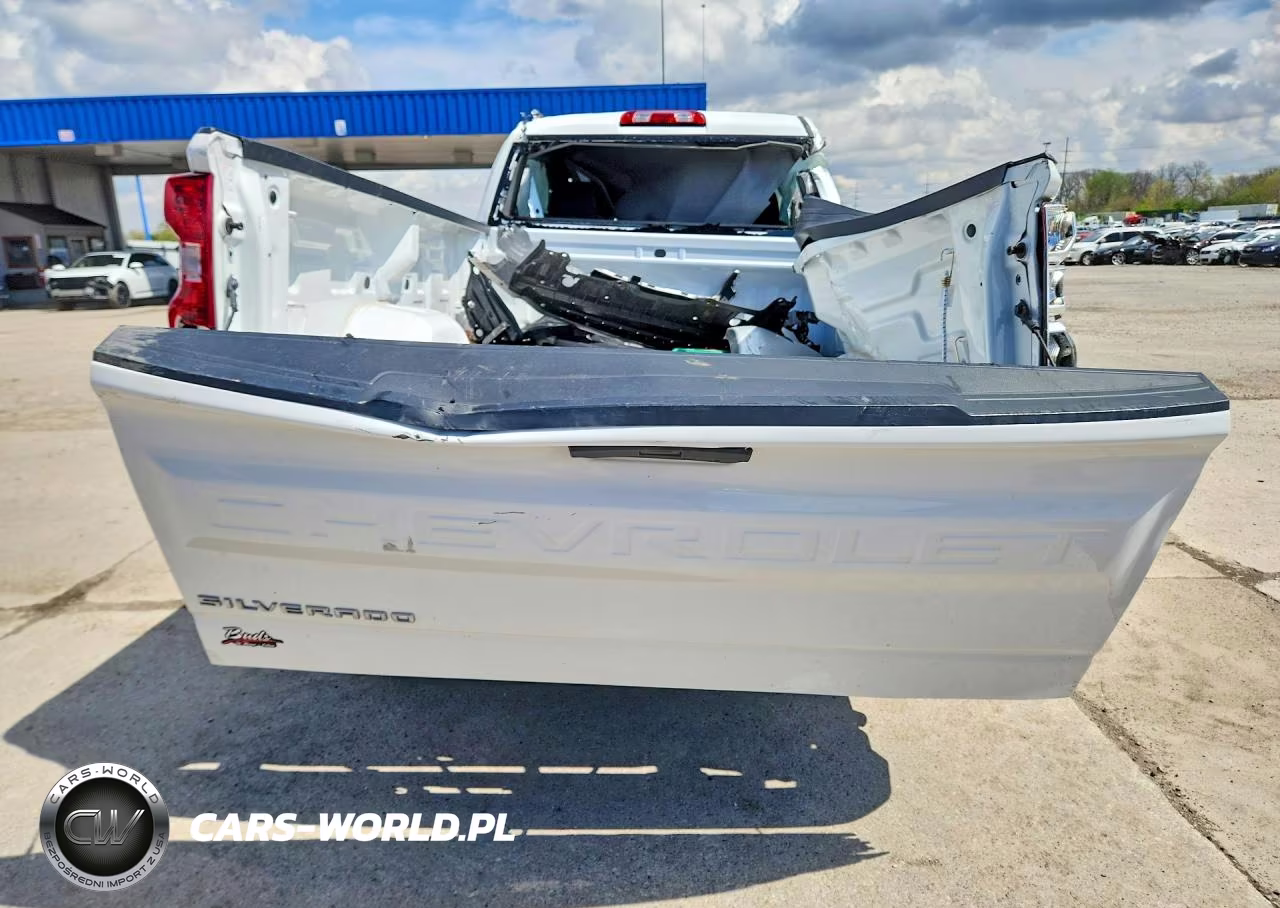 2020 Chevrolet Silverado K1500 VIN:3GCNYAEF9LG141876 - 6