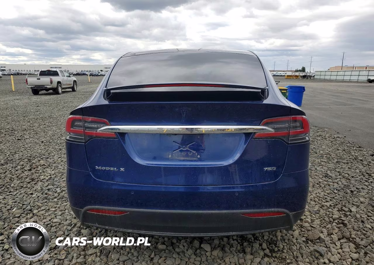 2018 Tesla Model X VIN:5YJXCDE28JF139691 - 6